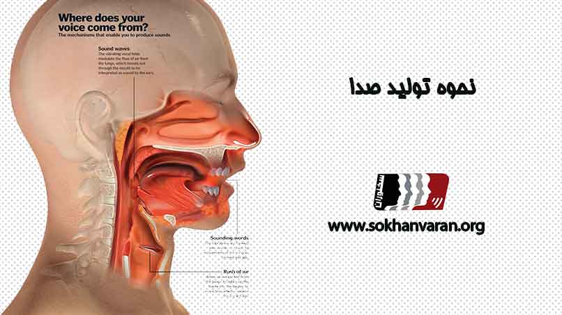 نحوه-تولید-صدا