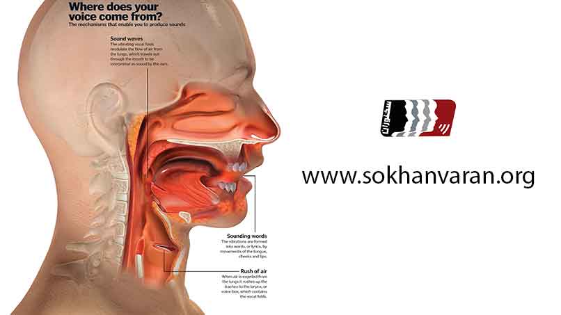 صدای-چگونه-تولید-می-شود